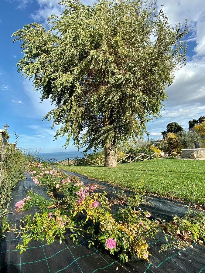 Residenza B&B Vistamare Petacciato Buitenkant foto